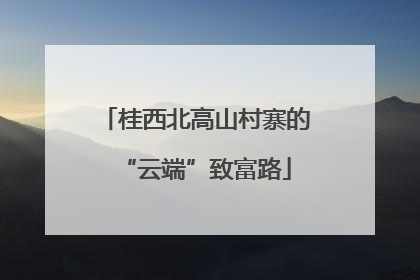 桂西北高山村寨的“云端”致富路