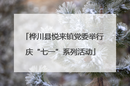 桦川县悦来镇党委举行庆“七一”系列活动