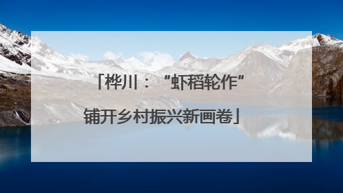 桦川：“虾稻轮作”铺开乡村振兴新画卷