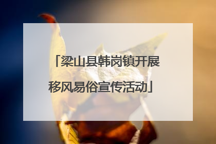 梁山县韩岗镇开展移风易俗宣传活动