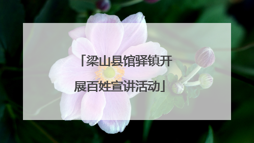 梁山县馆驿镇开展百姓宣讲活动