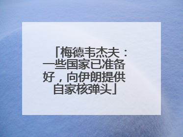 梅德韦杰夫：一些国家已准备好，向伊朗提供自家核弹头