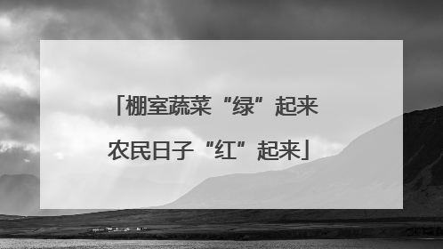 棚室蔬菜“绿”起来 农民日子“红”起来