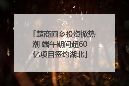 楚商回乡投资掀热潮 端午期间超60亿项目签约湖北
