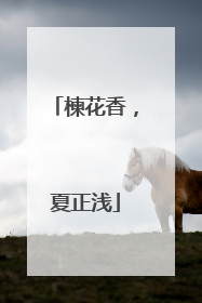 楝花香，夏正浅