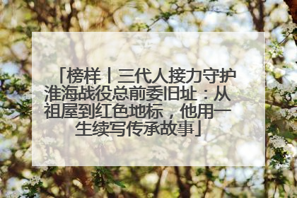 榜样丨三代人接力守护淮海战役总前委旧址：从祖屋到红色地标，他用一生续写传承故事