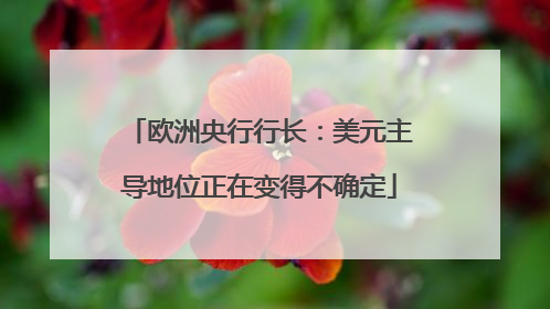 欧洲央行行长：美元主导地位正在变得不确定
