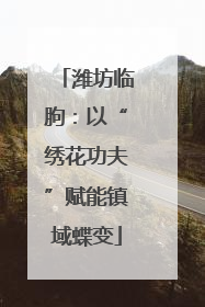 潍坊临朐：以“绣花功夫”赋能镇域蝶变