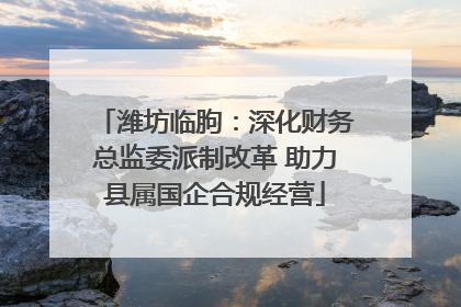潍坊临朐：深化财务总监委派制改革 助力县属国企合规经营