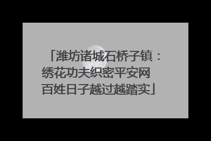 潍坊诸城石桥子镇：绣花功夫织密平安网 百姓日子越过越踏实