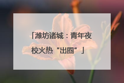 潍坊诸城：青年夜校火热“出圈”