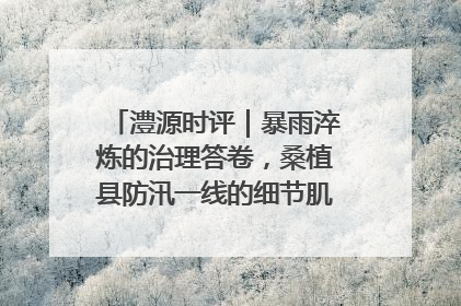 澧源时评｜暴雨淬炼的治理答卷，桑植县防汛一线的细节肌理与体系力量