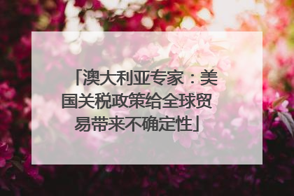 澳大利亚专家：美国关税政策给全球贸易带来不确定性