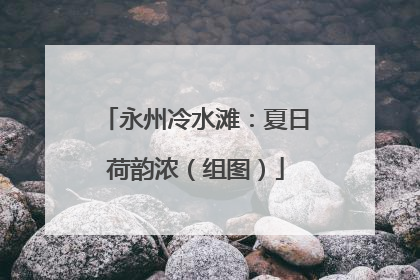 永州冷水滩：夏日荷韵浓（组图）