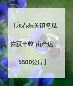 永春东关镇冬瓜喜获丰收 亩产达5500公斤