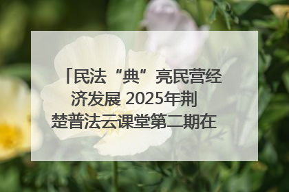 民法“典”亮民营经济发展 2025年荆楚普法云课堂第二期在武汉客厅开讲