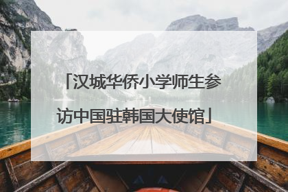 汉城华侨小学师生参访中国驻韩国大使馆