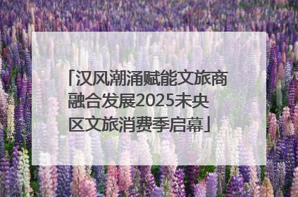 汉风潮涌赋能文旅商融合发展2025未央区文旅消费季启幕