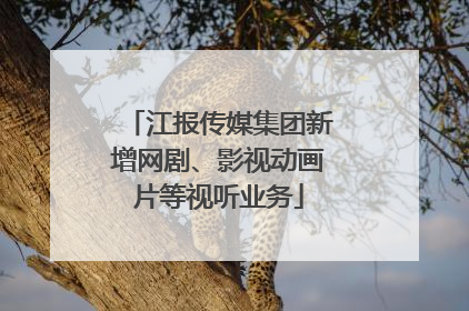 江报传媒集团新增网剧、影视动画片等视听业务