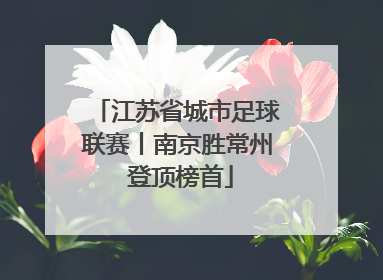 江苏省城市足球联赛丨南京胜常州 登顶榜首