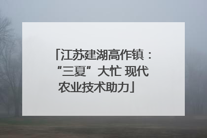 江苏建湖高作镇：“三夏”大忙 现代农业技术助力