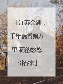 江苏金湖：千年藕香飘万里 荷韵悠悠引客来