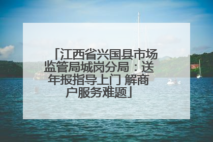 江西省兴国县市场监管局城岗分局：送年报指导上门 解商户服务难题