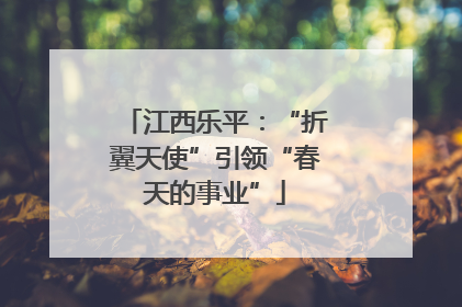 江西乐平：“折翼天使”引领“春天的事业”