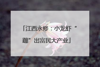 江西永修：小龙虾“蹦”出富民大产业
