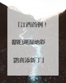 江西首例！鄱阳湖湿地彩鹮喜添新丁