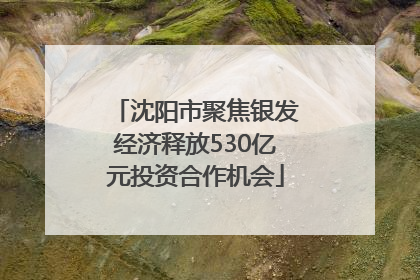 沈阳市聚焦银发经济释放530亿元投资合作机会