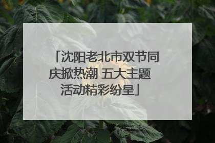 沈阳老北市双节同庆掀热潮 五大主题活动精彩纷呈