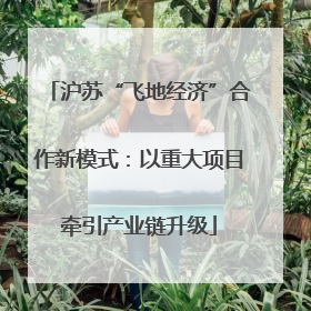 沪苏“飞地经济”合作新模式：以重大项目牵引产业链升级