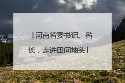 河南省委书记、省长，走进田间地头
