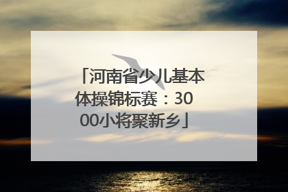 河南省少儿基本体操锦标赛：3000小将聚新乡