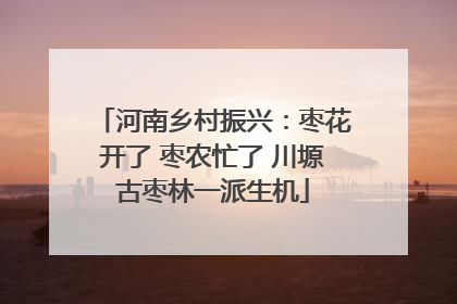 河南乡村振兴：枣花开了 枣农忙了 川塬古枣林一派生机