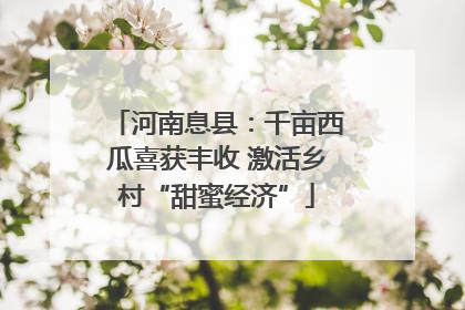 河南息县：千亩西瓜喜获丰收 激活乡村“甜蜜经济”