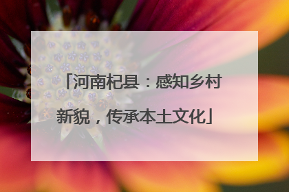 河南杞县：感知乡村新貌，传承本土文化