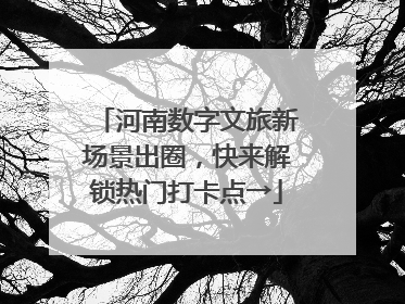 河南数字文旅新场景出圈，快来解锁热门打卡点→