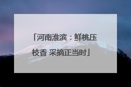 河南淮滨：鲜桃压枝香 采摘正当时