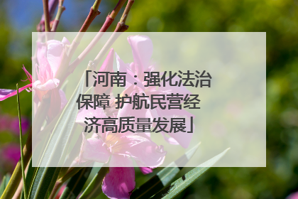 河南：强化法治保障 护航民营经济高质量发展