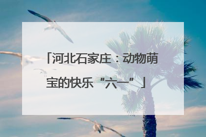 河北石家庄：动物萌宝的快乐“六一”