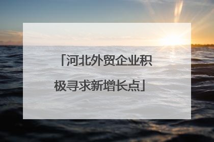 河北外贸企业积极寻求新增长点