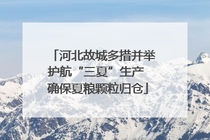 河北故城多措并举护航“三夏”生产 确保夏粮颗粒归仓