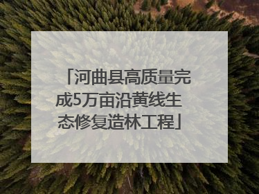 河曲县高质量完成5万亩沿黄线生态修复造林工程