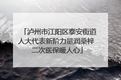 泸州市江阳区泰安街道人大代表新阶力量润桑梓 二次医保暖人心