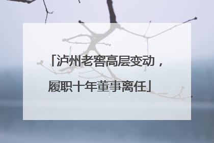 泸州老窖高层变动，履职十年董事离任