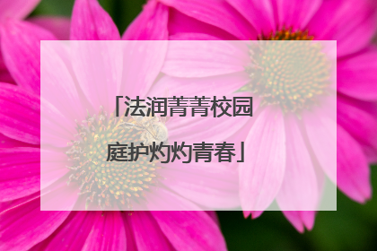 法润菁菁校园 庭护灼灼青春