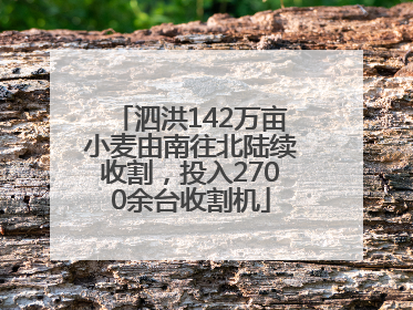 泗洪142万亩小麦由南往北陆续收割，投入2700余台收割机