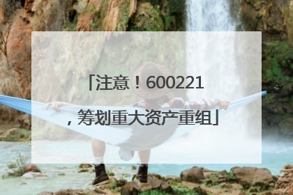 注意！600221，筹划重大资产重组